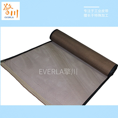耐高溫輸送網帶細節圖2